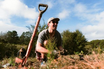 Planting on Waiheke Island