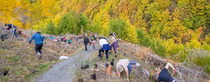 Arrowtown Choppers Native Planting from April 2021