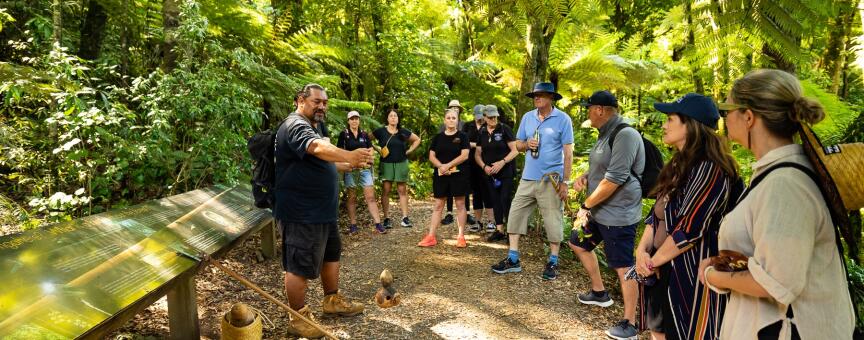 Sanctuary Mountain Maungatautari Guided Moa Hunter Tour   Southern Enclosure (1)