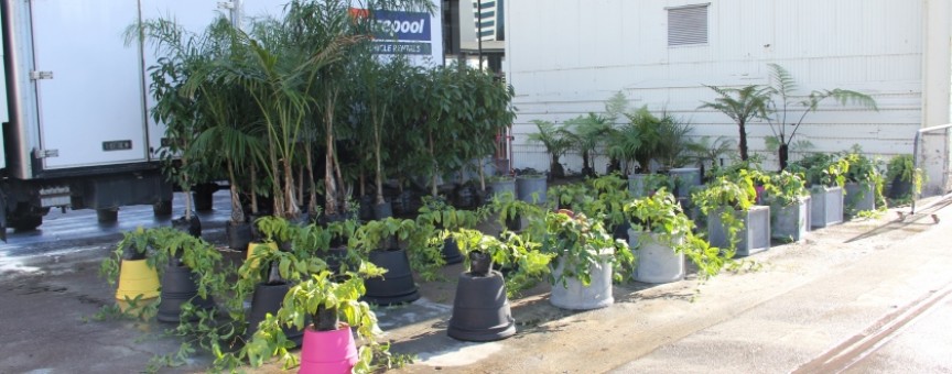 Supplier plants